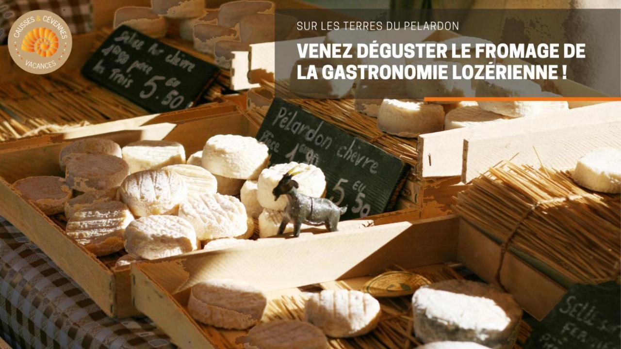 Alberguiere - Piscine Chauffee - Plancha - Barbecue Sainte-Croix-Vallee-Francaise Exteriör bild
